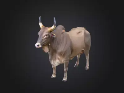 Majestic Farm Bull Low-poly 3D model