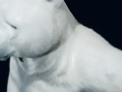Polar bear Low-poly 3D model buy