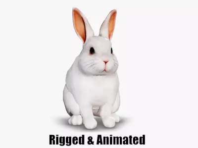 animated white rabbit  Low-poly 3D model
