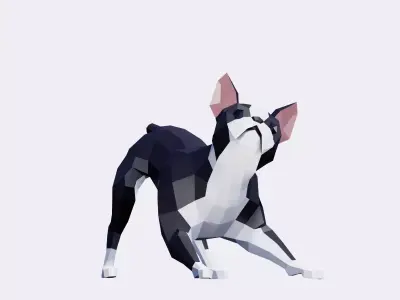 Boston Terrier Dogs Low-poly 3D model