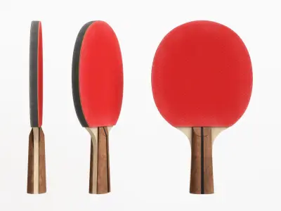 Table Tennis Paddle 3D model