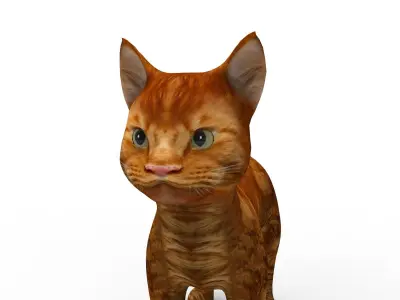 3d low poly Pet Cat Model Low-poly 3D model