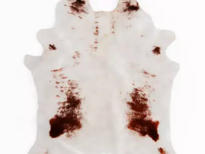 White And Brown Cowhide Animal Rug Fur 3D model