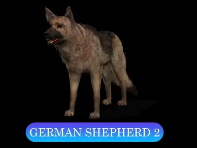 13 Dogs Pack 3D Model Collection Low-poly 3D model