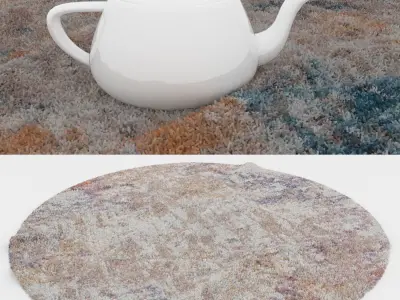 Round Rug Set 42 3D model
