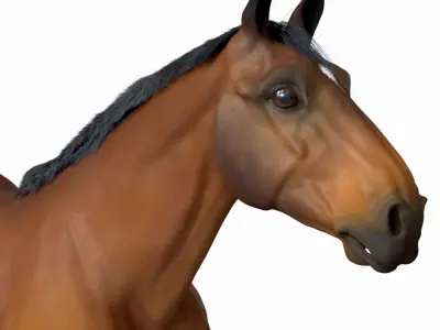 Horse 3D model