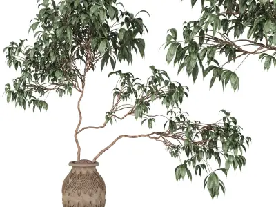 Tree in clay pot 3D model