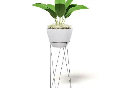 Plant on Tall Rack 3D Model 3D model