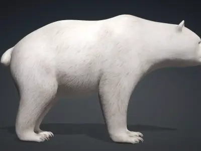 White Bear 3D model