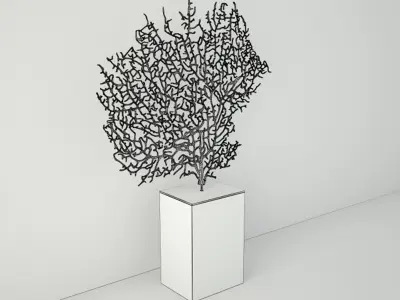 Lavender Exotic Sea Fan 3D model