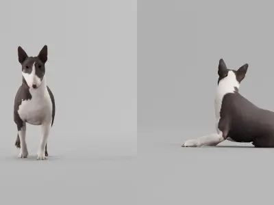 Bull Terrier  Game Ready 3D model