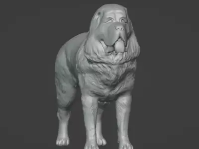 Kangal 3D model