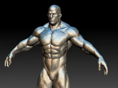 Bodybuilding trophy Free 3D print model