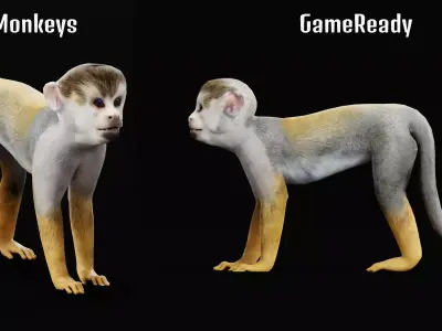 Squirrel Monkeys Primate Low-poly 3D model
