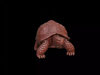 Tortoise Animal Sculpture 3D print model get