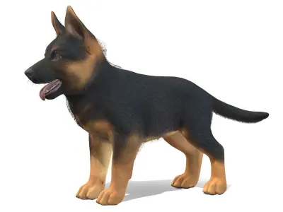 Puppy - Shephed Low-poly 3D model
