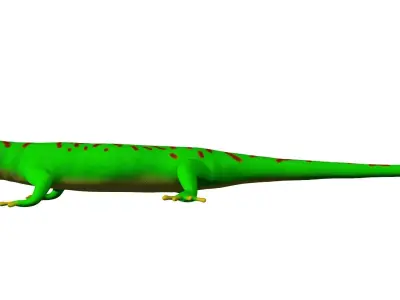 Madagascar Day Gecko 3D model