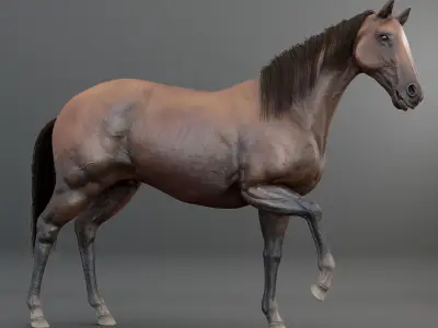 3D Horse RIGGED  FUR Low-poly 3D model