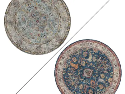 Round Rug Set 54 3D model