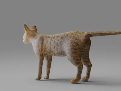 Cat Grey NO Rigged in Blender  Low-poly 3D model