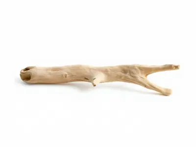 Realistic Driftwood Model Pack for Nature Scenes and Decor Low-poly 3D model