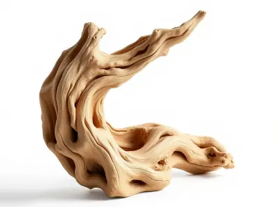 Sculpted Driftwood Fluid Form model pack Low-poly 3D model