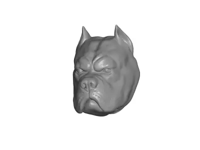 pitbull head 3D model