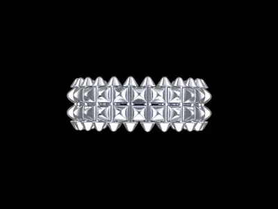 ClasI-I Double Ring 3D print model