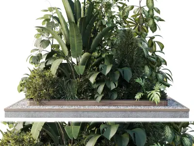 Outdoor plant Collection Wooden box for plant garden 3D model