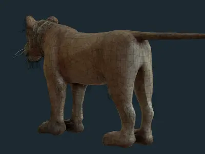 Lioness for Games and Film Low-poly 3D model