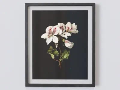 Vintage Botanical Collection 1 Low-poly 3D model