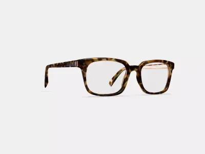 Mullins Eyeglasses in Acorn Tortoise 3D model