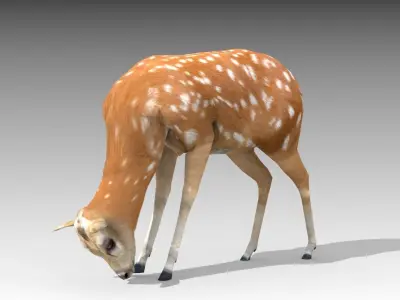 Female Deer Low-poly 3D model
