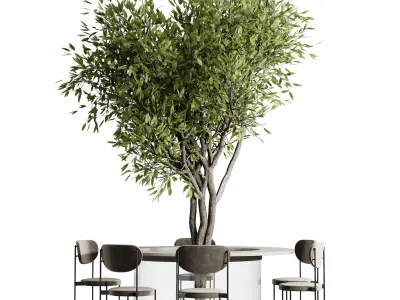 Plant in Dining Table Set 02  Low-poly 3D model