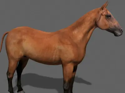 Farm and Forest Animal Pack HD - Animated 3D model