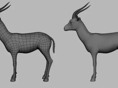 Gazelle Model  Low-poly 3D model
