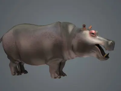 Realistic Hippos African Hippos herbivores African animal 3D model