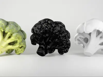 Cob of broccoli 27 Low-poly 3D model