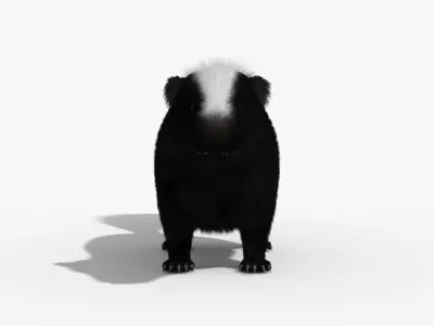 Skunk Animal 3d model 3D model