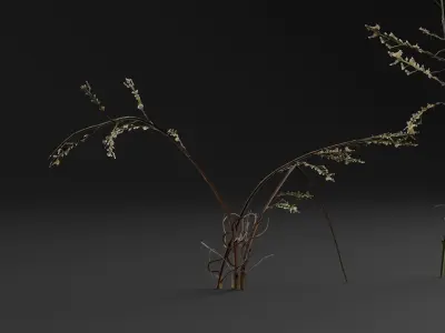 Bushy Starwort 3D model