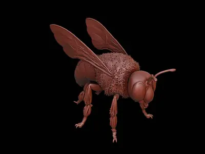 Bee Animal Sculpture 3D print model purchase