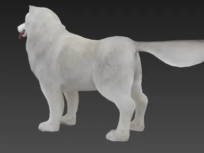 Samoyed  dog Low-poly 3D model