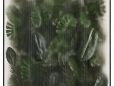 Indoor plant collection