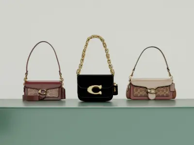 Luxury Handbags Collection 3D model