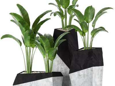 Plant Collection Set 01 3D model