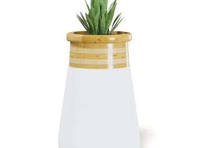 Plant 3D Model in Large Modern Pot 3D model purchase