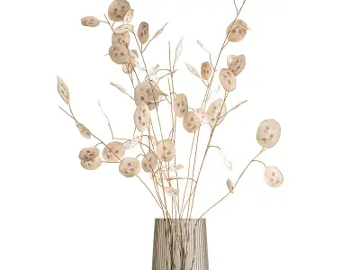 Bouquet of dried flowers  Lunaria in a glass vase 129 3D model