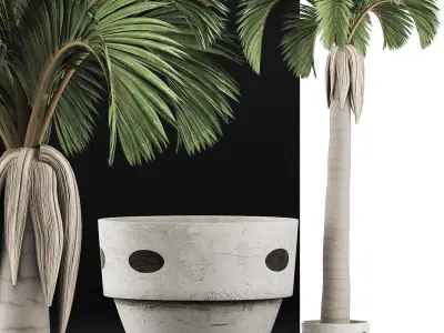 Plants Collection 133 Big Palm 3D model