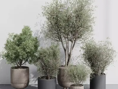 Indoor plant set 362 concrete vase plant tree shrub Low-poly 3D model