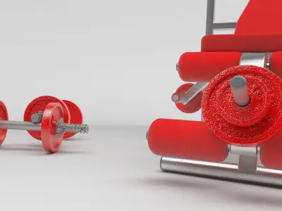 3D Model of gym weight bench and free weights 3D model